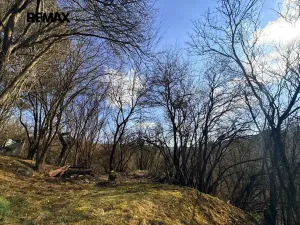 Prodej zahrady, Bílovice nad Svitavou, 589 m2