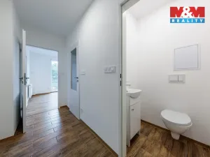 Prodej bytu 3+1, Nová Ves, 55 m2