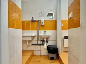 Pronájem skladu, Plzeň, Zikmunda Wintra, 520 m2