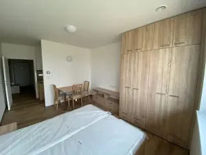 Pronájem bytu 1+kk, Jihlava, Okružní, 33 m2