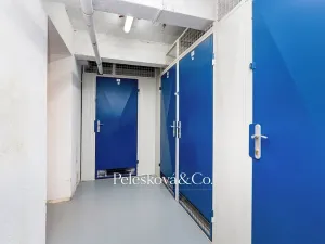 Prodej bytu 4+kk, Praha - Žižkov, Viklefova, 100 m2