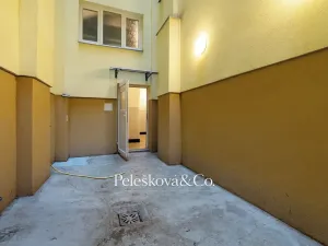 Prodej bytu 4+kk, Praha - Žižkov, Viklefova, 100 m2
