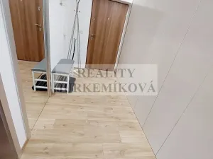 Pronájem bytu 2+kk, České Budějovice, U Lučního jezu, 46 m2