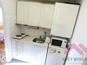 Pronájem bytu 1+kk, Praha, Formanská, 18 m2