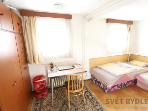 Pronájem bytu 1+kk, Praha, Formanská, 18 m2