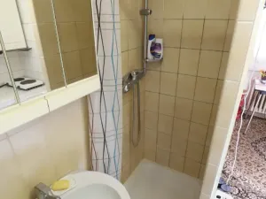 Pronájem bytu 1+kk, Praha, Formanská, 18 m2