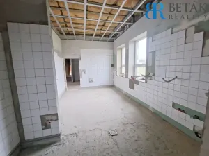 Prodej obchodního prostoru, Přerov, Želatovská, 256 m2