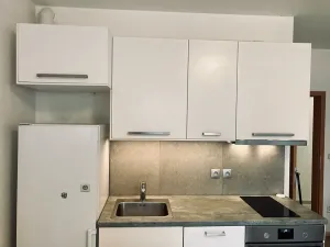 Pronájem bytu 1+kk, Praha, Počernická, 35 m2