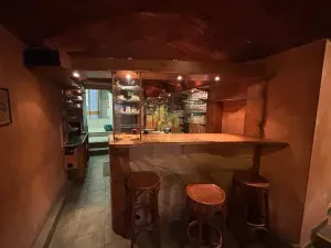 Pronájem restaurace, Plzeň, Lindauerova, 124 m2