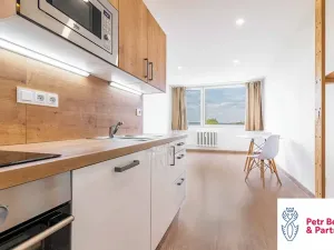 Pronájem bytu 2+kk, Rakovník, V Lukách, 41 m2