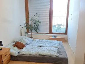 Pronájem bytu 2+kk, Hradec Králové, Kollárova, 55 m2