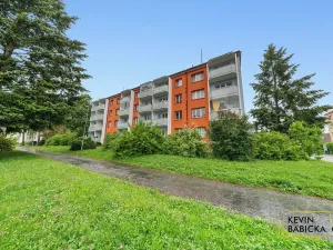 Prodej bytu 2+1, Žďár nad Sázavou, Revoluční, 49 m2