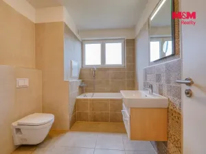 Pronájem bytu 2+kk, Heřmanova Huť - Vlkýš, U Pondu, 60 m2