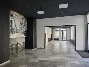Pronájem obchodního prostoru, Brno - Brno-město, Dvořákova, 165 m2