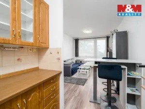 Prodej bytu 2+kk, Teplice - Trnovany, Trnovanská, 48 m2