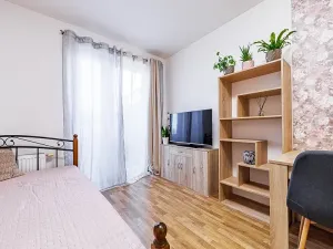 Pronájem bytu 1+kk, Olomouc, Edvarda Beneše, 23 m2