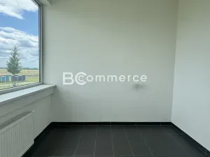 Pronájem kanceláře, Brno, Letiště Brno-Tuřany, 300 m2