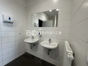 Pronájem kanceláře, Brno, Letiště Brno-Tuřany, 300 m2