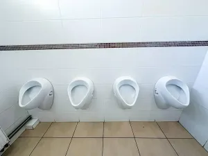 Prodej restaurace, Jablonné v Podještědí, 380 m2