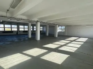 Pronájem skladu, Pardubice, Na Spravedlnosti, 258 m2