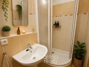 Prodej bytu 1+kk, Brno, Podveská, 41 m2