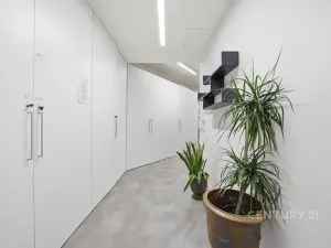 Pronájem kanceláře, Praha - Smíchov, Na Zatlance, 232 m2
