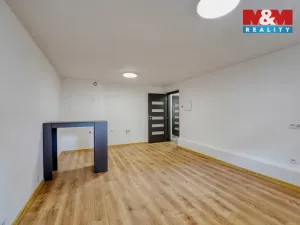 Prodej obchodního prostoru, Plzeň - Východní Předměstí, Ořechová, 26 m2