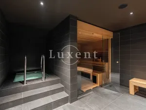 Pronájem bytu 2+kk, Praha - Smíchov, Holečkova, 72 m2