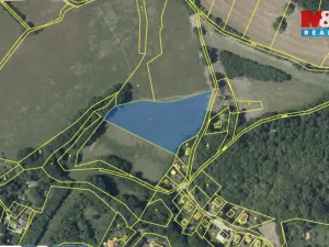 Pronájem louky, Petrov, 7761 m2