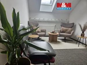 Pronájem obchodního prostoru, Olomouc - Nová Ulice, Litovelská, 20 m2