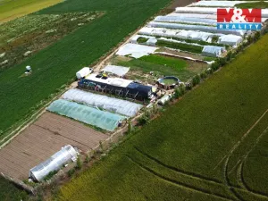 Prodej pole, Nové Dvory, 18000 m2