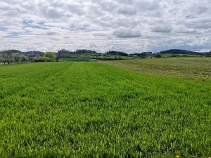 Prodej komerčního pozemku, Radomyšl, 10000 m2