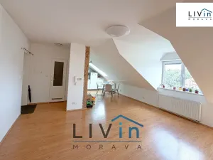Pronájem bytu 1+kk, Olomouc, Krakovská, 80 m2