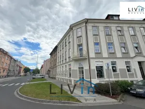 Pronájem bytu 1+kk, Olomouc, Krakovská, 80 m2