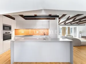 Pronájem bytu 4+kk, Praha - Malá Strana, Vítězná, 213 m2