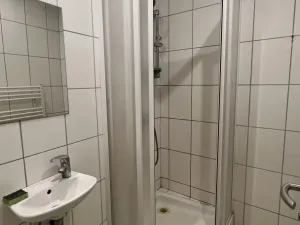 Pronájem ubytování, Veselí nad Lužnicí - Veselí nad Lužnicí I, náměstí T. G. Masaryka, 170 m2
