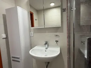 Prodej bytu 3+1, Praha - Žižkov, Hartigova, 72 m2