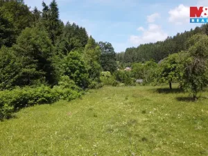 Prodej pozemku pro bydlení, Plavy, 3359 m2