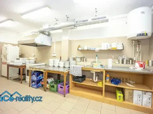 Prodej komerční nemovitosti, Slatina nad Zdobnicí, 572 m2
