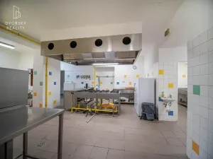 Pronájem restaurace, Mnichovo Hradiště, Jana Švermy, 290 m2