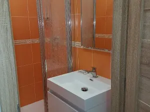 Pronájem bytu 1+1, Liberec, Borový vrch, 39 m2