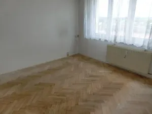 Prodej bytu 1+1, Ostrov, Jungmannova, 36 m2