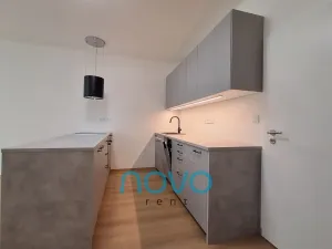 Pronájem bytu 1+kk, Praha - Vysočany, Gerstelova, 41 m2