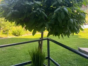 Prodej rodinného domu, Domašov u Šternberka, 400 m2