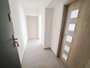 Pronájem bytu 1+1, Plzeň, Mánesova, 45 m2
