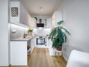 Pronájem bytu 2+kk, Zruč nad Sázavou, Na Pohoří, 43 m2