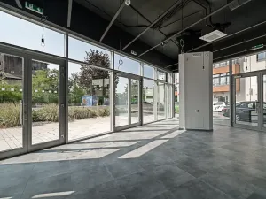 Pronájem restaurace, Praha - Holešovice, V háji, 240 m2
