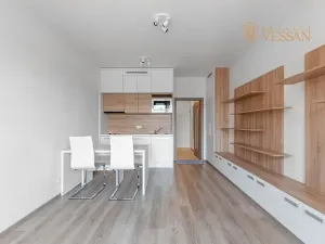 Prodej bytu 1+kk, Praha - Vršovice, Petrohradská, 30 m2