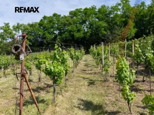 Prodej sadu/vinice, Moravské Bránice, 2403 m2