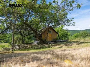 Prodej sadu/vinice, Moravské Bránice, 2403 m2
